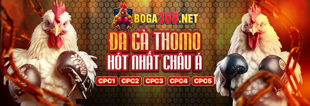 Các đặc quyền độc quyền dành cho thành viên VIP zx8801 nhà cái